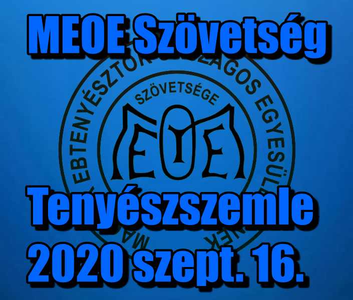 Tenyészszemle 09.16.