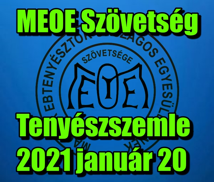 Tenyészszemle 2021 január 20.