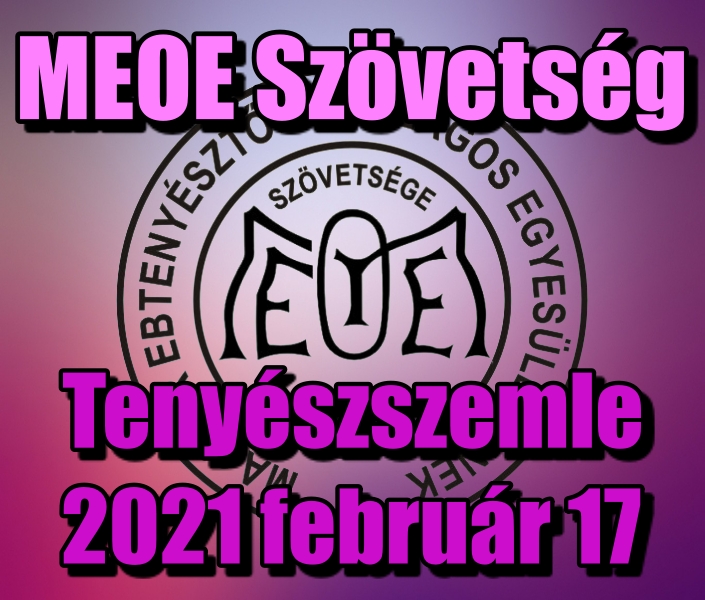 Tenyészszemle 2021 február 17.