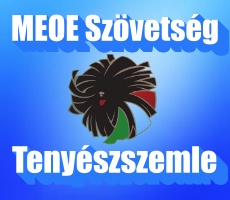 Tenyészszemle 2022-03-23